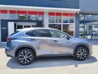 Usata Lexus NX300h Sport Line 155 CV (114 kW) 2015 Argento SUV