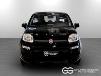 Ny Fiat Panda Icon 65 HK (47 kW) 2025 Svart Halvkombi