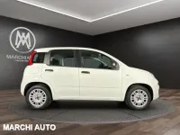 Usata Fiat Panda Easy 69 CV (50 kW) 2016 Bianco Utilitaria