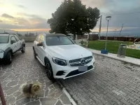 Usata Mercedes GLC250 211 CV (155 kW) 2019 SUV