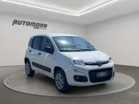 Usata Fiat Panda 4x4 84 CV (61 kW) 2020 Bianco Utilitaria