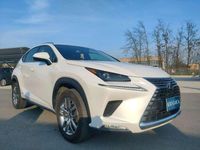 Usata Lexus NX300h Business Edition 155 CV (114 kW) 2019 Perlato SUV