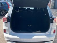 Usata Ford Kuga ST-Line 120 CV (88 kW) 2023 Bianco SUV
