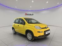 Nuova Fiat Panda S 69 CV (50 kW) 2026 Giallo Utilitaria