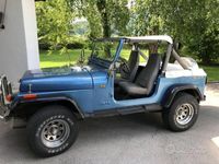 usata Jeep Wrangler YJ 2.5 1989 accessoriata