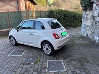 Usata Fiat 500 Dolcevita 69 CV (50 kW) 2022 Bianco Utilitaria