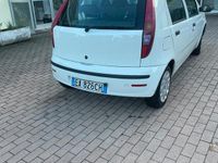 Usata Fiat Punto 77 CV (56 kW) 2010 Bianco Berlina