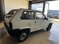 usata Fiat Panda 1100 i.e. cat Hobby