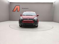 Usata Fiat Panda Cross Cross 69 CV (50 kW) 2025 Rosso passione Utilitaria