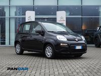 Usata Fiat Panda S 70 CV (51 kW) 2024 Nero Utilitaria