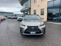Usata Lexus NX300h Executive Line 155 CV (114 kW) 2016 Grigio SUV