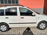Usata Fiat Panda Dynamic 69 CV (50 kW) 2010 Bianco Utilitaria