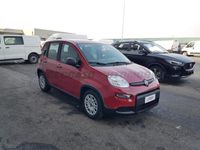 usata Fiat Panda Panda My24 1.0 70cv Hybrid