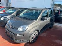 usata Fiat Panda 1.0 FireFly S&S Hybrid City Life