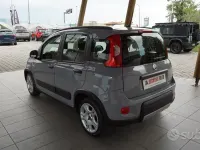 Usata Fiat Panda Cross Cross 70 CV (51 kW) 2022 Grigio Utilitaria