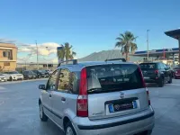 Usata Fiat Panda Dynamic 69 CV (50 kW) 2010 Other Utilitaria