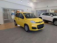 Nuova Fiat Panda Icon 65 CV (47 kW) 2026 Giallo Utilitaria