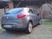Immagine 3