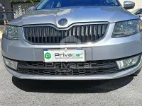 Usata Skoda Octavia Ambition 150 CV (110 kW) 2014 Grigio Station wagon