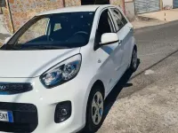Usata Kia Picanto 67 CV (49 kW) 2015 Bianco Utilitaria