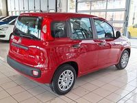 Nuova Fiat Panda S 70 CV (51 kW) 2025 Rosso Berlina