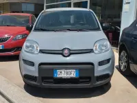Usata Fiat Panda S 70 CV (51 kW) 2022 Grigio Utilitaria
