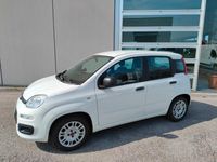 usata Fiat Panda 1.2 EasyPower Easy PER NEOPATENTATI