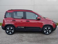 Usata Fiat Panda 70 CV (51 kW) 2025 Rosso passione (pastello) Utilitaria