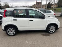 Usata Fiat Panda S 69 CV (50 kW) 2024 Bianco Utilitaria