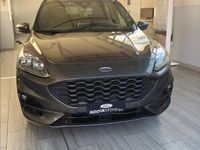 Usata Ford Kuga ST-Line X 190 CV (139 kW) 2023 Grigio SUV