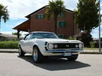 Usata Chevrolet Camaro SS 364 CV (267 kW) 1967 Bianco Coupé