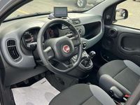 usata Fiat Panda 1.2 Easy 69cv E6