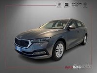Usata Skoda Octavia Executive 116 CV (85 kW) 2024 Grigio Berlina