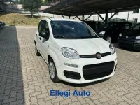 Nuova Fiat Panda Icon 69 CV (50 kW) 2026 Bianco Utilitaria