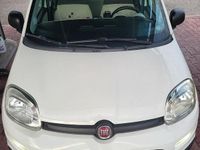 Usata Fiat Panda 69 CV (50 kW) 2015 Bianco Utilitaria