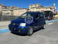 Usata Fiat Panda Dynamic 60 CV (44 kW) 2008 Bluazzurro Utilitaria