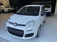 Usata Fiat Panda Icon 69 CV (50 kW) 2024 Bianco Utilitaria