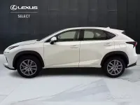 Usata Lexus NX300h 155 CV (114 kW) 2021 Bianco SUV