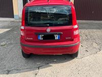 usata Fiat Panda Panda 1.4 Dynamic Natural Power