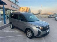 Usata Ford Tourneo Courier Titanium 126 CV (92 kW) 2024 Grigio metallizzato Monovolume