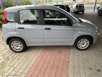 usata Fiat Panda 1.2 Easy