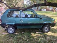 Usata Fiat Panda 4x4 Trekking 54 CV (39 kW) 2002 Verde Utilitaria