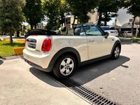 usata Mini Cooper Cabriolet 1.5 1.5