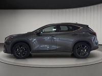 Usata Lexus NX450h+ 309 CV (227 kW) 2023 Sonic grey SUV