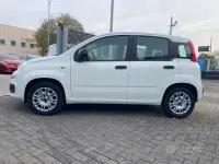 Usata Fiat Panda Easy 69 CV (50 kW) 2021 Bianco Utilitaria