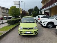 usata Fiat Panda -- 1.2 Emotion #NEOPATENTATI #