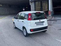 Usata Fiat Panda 2015 Bianco Utilitaria
