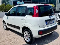 Usata Fiat Panda 80 CV (58 kW) 2014 Bianco Utilitaria