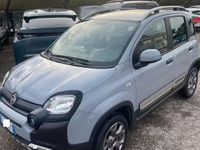 Usata Fiat Panda 4x4 2018 Grigio Utilitaria