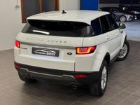 usata Land Rover Range Rover evoque 2.0 TD4 150 CV 5p. SE